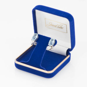 Soiree French Clip Earring Box
